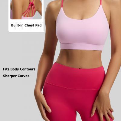Six-Strap Back Sports Bra with Built-in Chest Pad - 3D Support Breathable Yoga Bra (Multiple Colors)